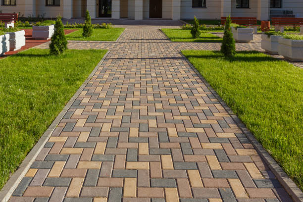 Best Driveway Repair Near Me  in Waterloo, IA